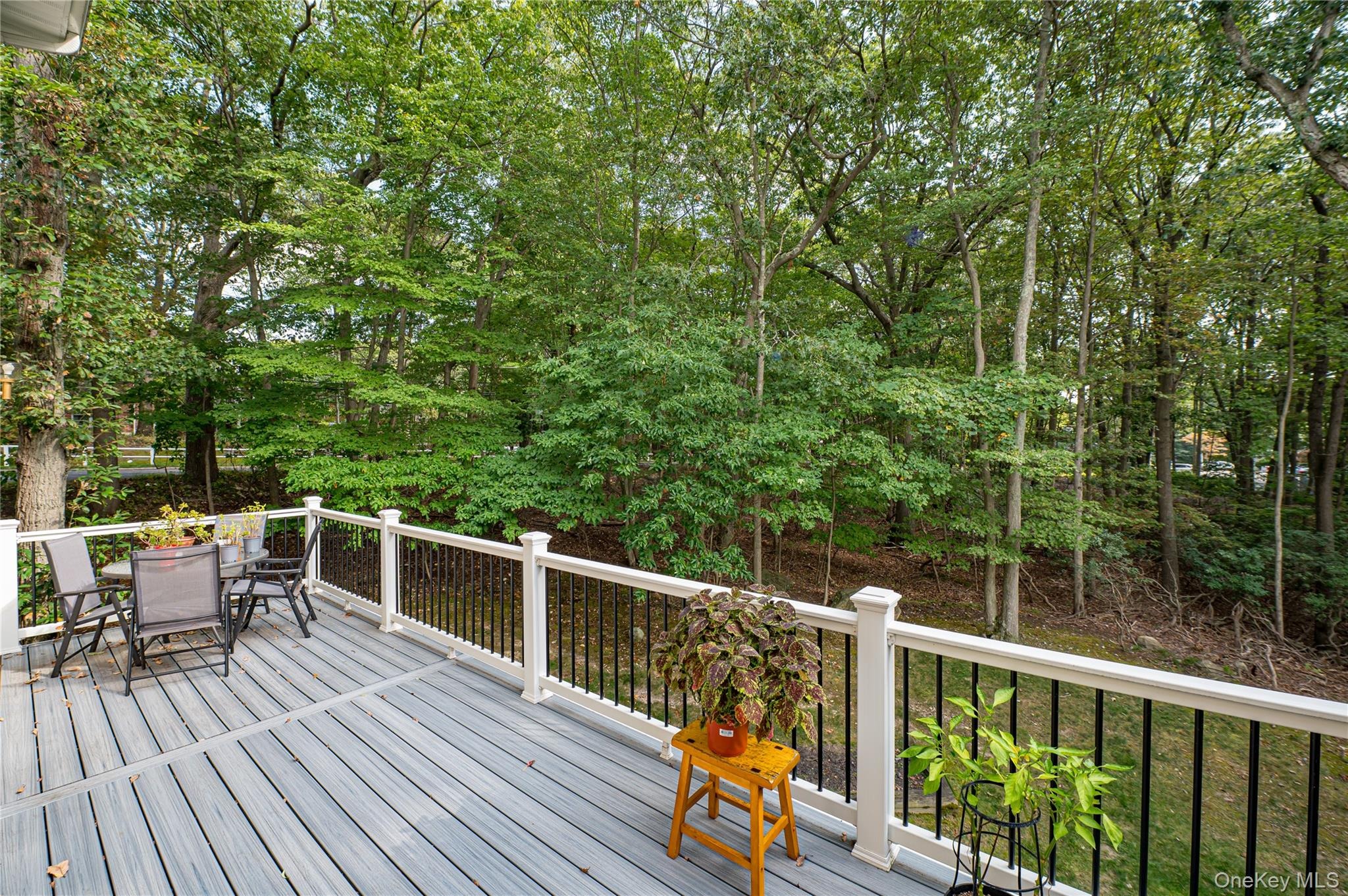 Princess Tree Ct, Port Jefferson, NY 11777