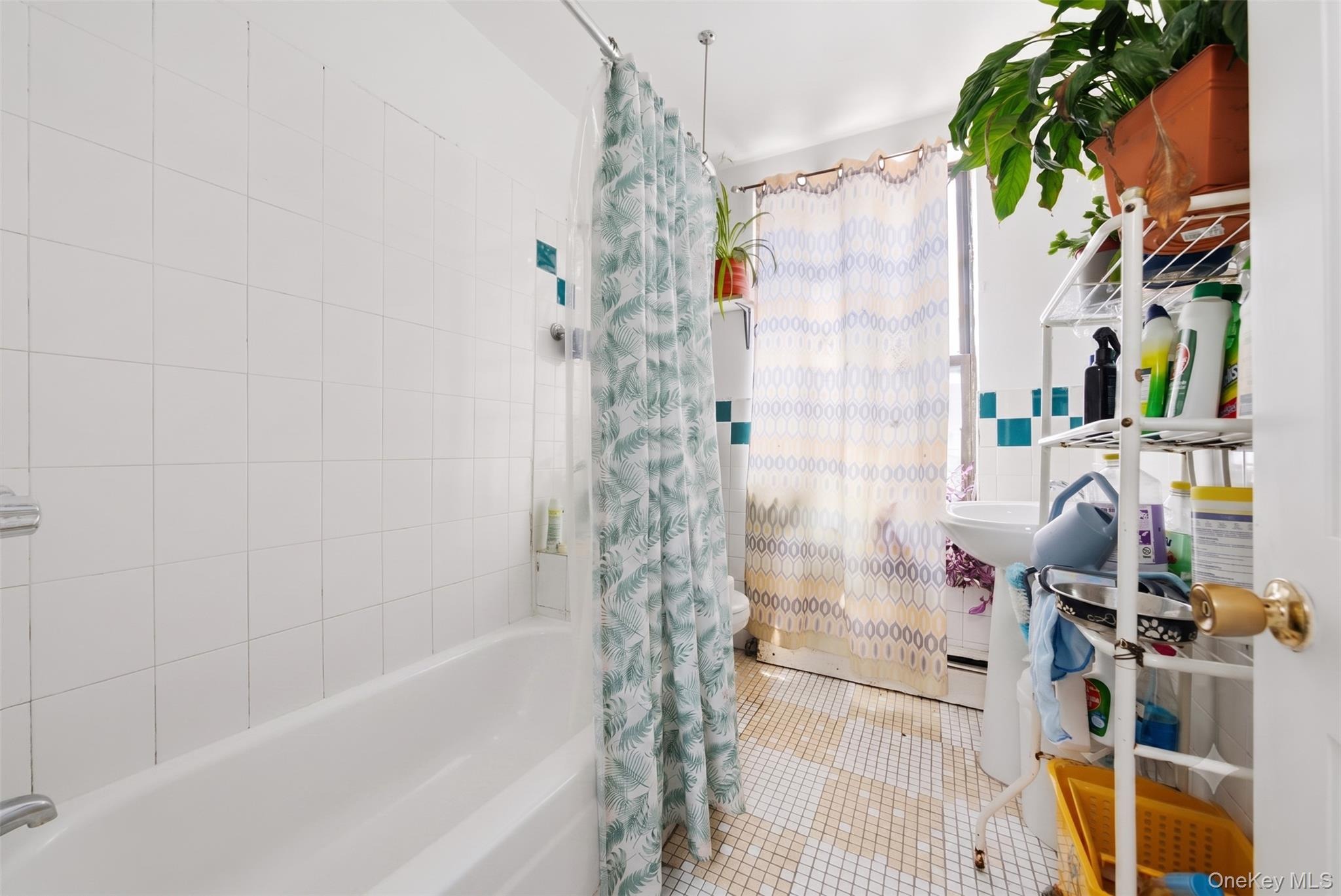 Jackson Ave, Bronx, NY 10454 #1