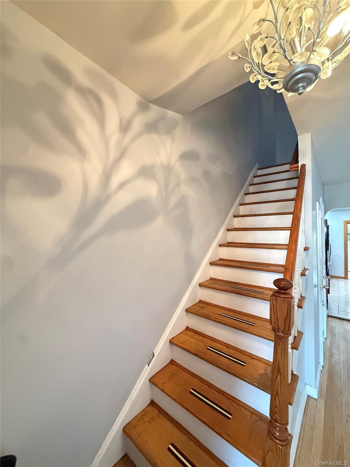 Lurting Ave, Bronx, NY 10469 #1