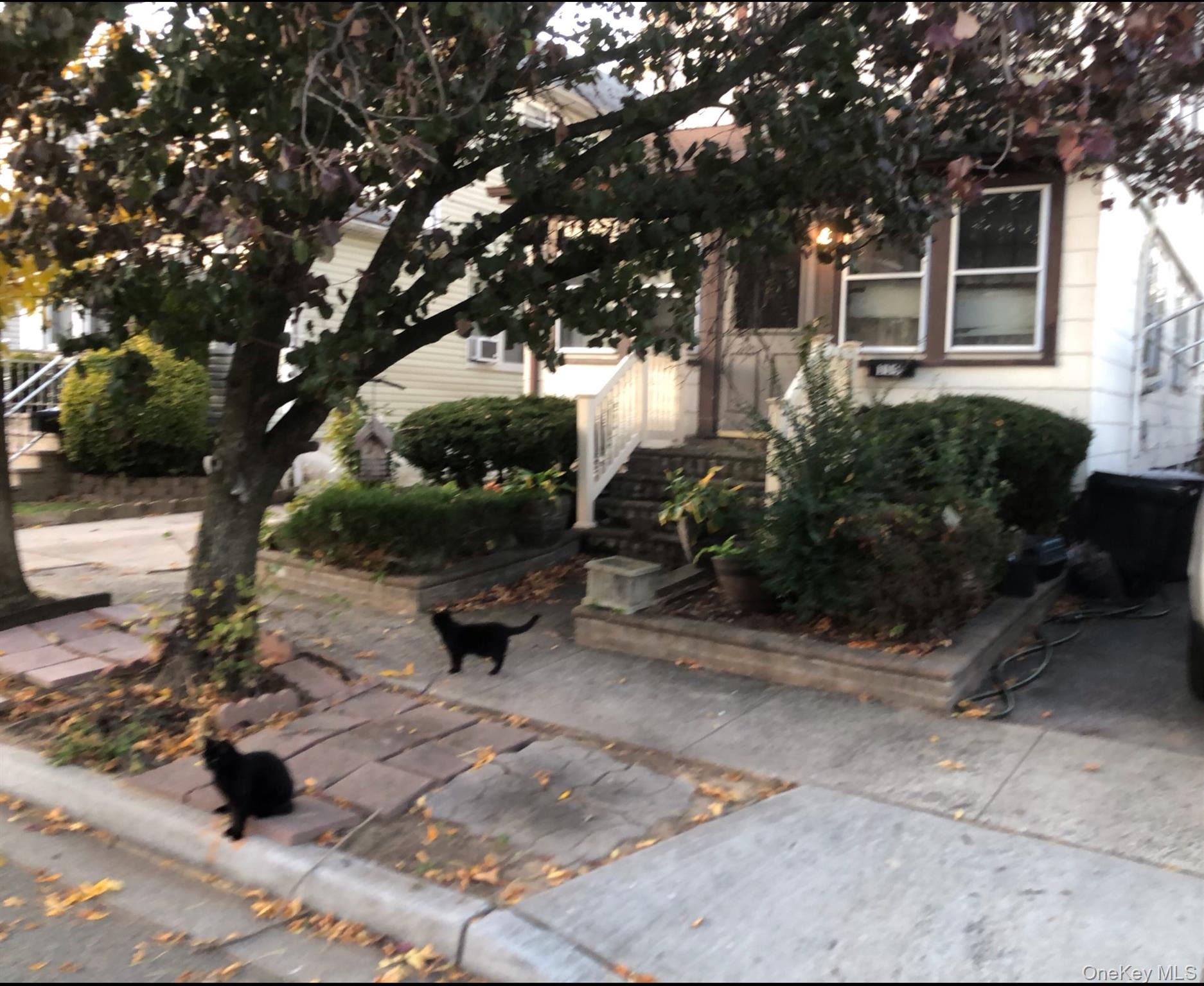 Pilgrim Pl, Valley Stream, NY 11580