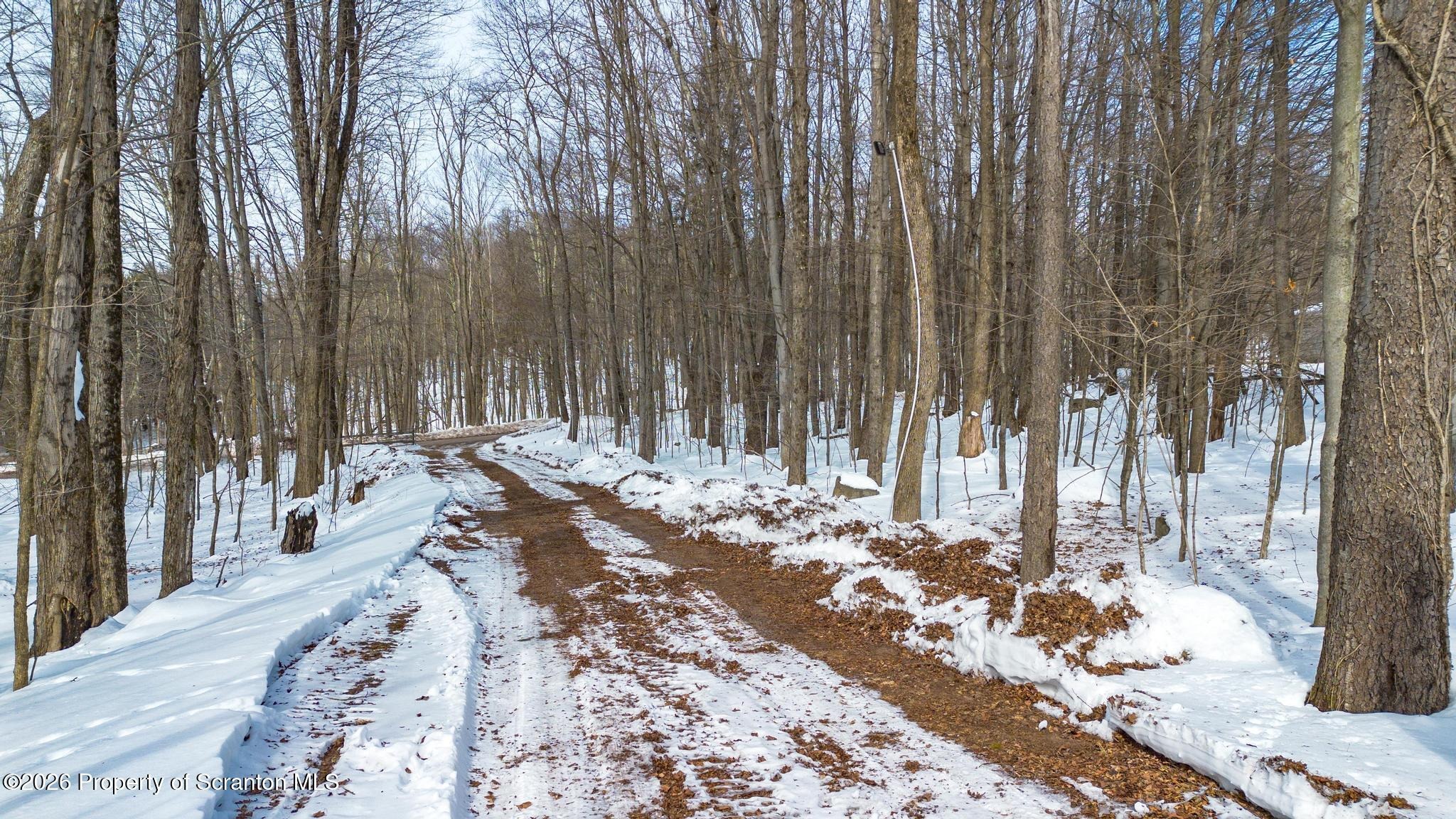 Hemlock Rd, Waymart, PA 18472 #1