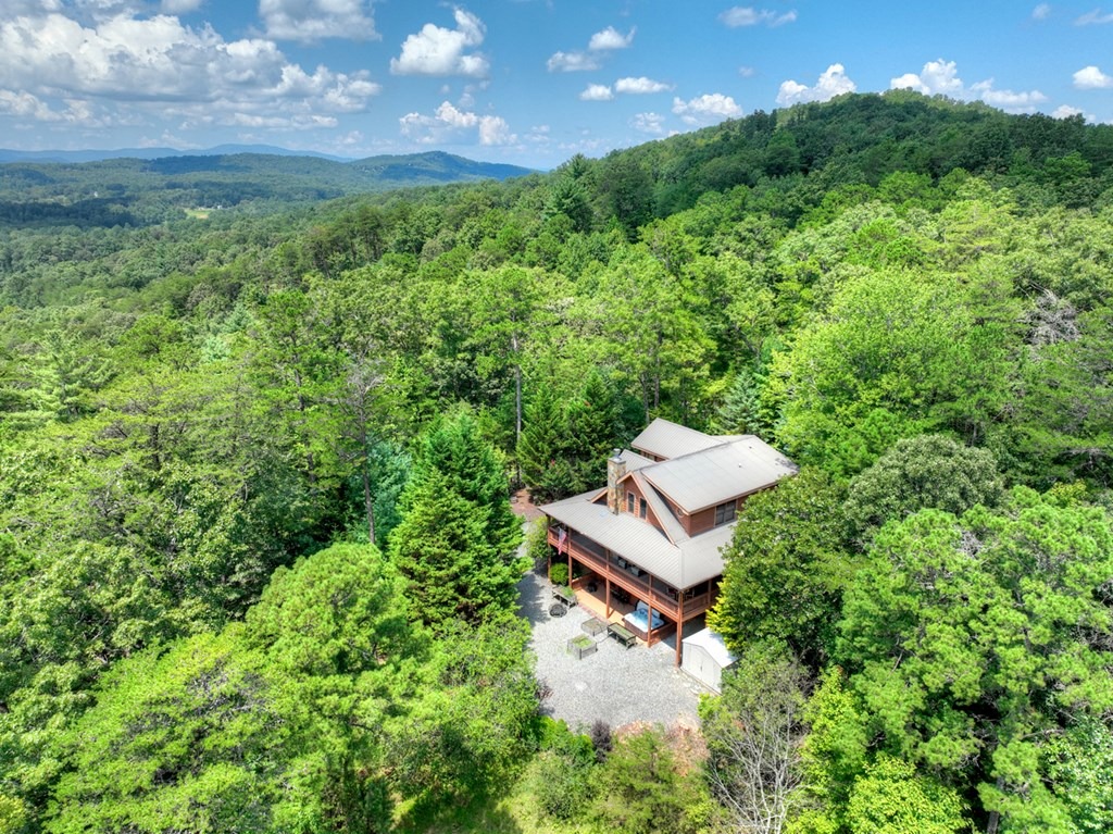 Foxfire Rd, Blue Ridge, GA 30513 #1