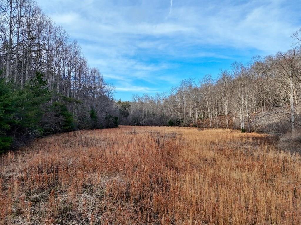 Rainbow Rd, Suches, GA 30572