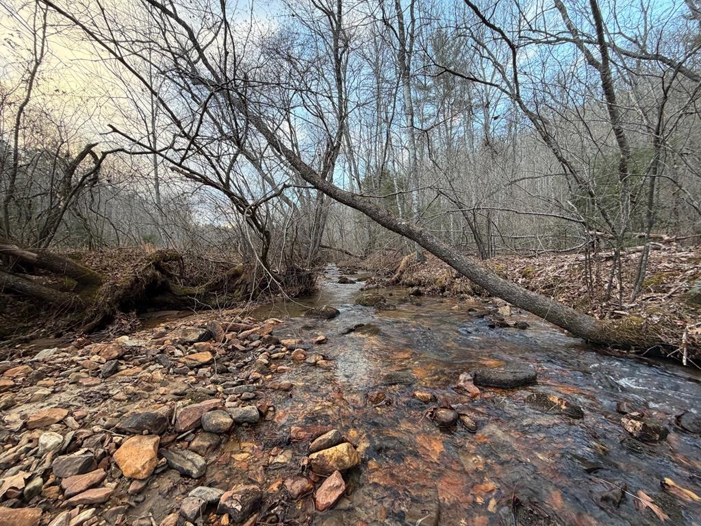 Rainbow Rd, Suches, GA 30572 #1