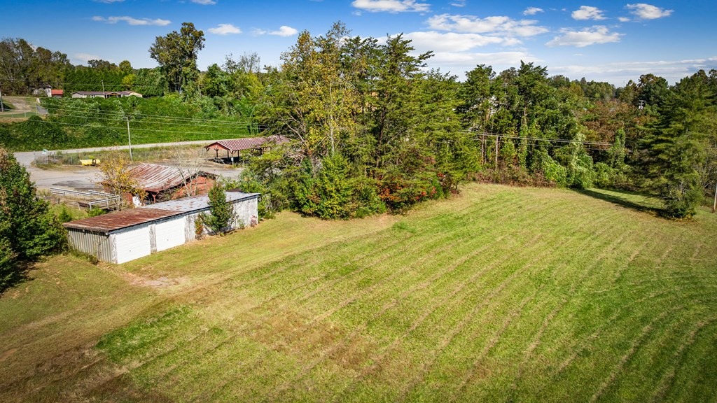 Orchard Blvd, Blue Ridge, GA 30513 #1
