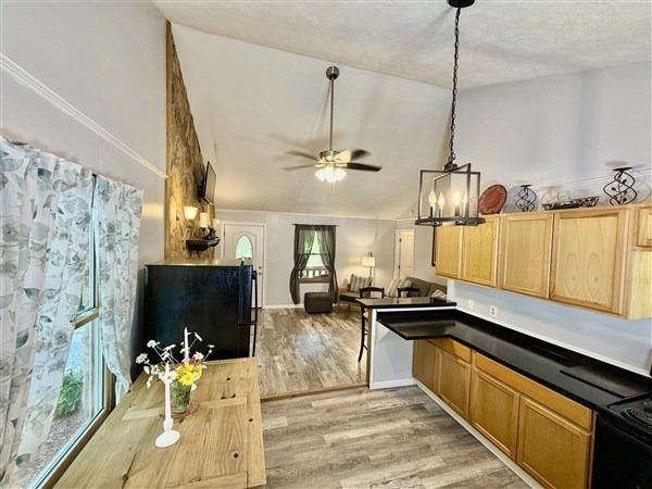 Trails End Rd, Blue Ridge, GA 30513 #1