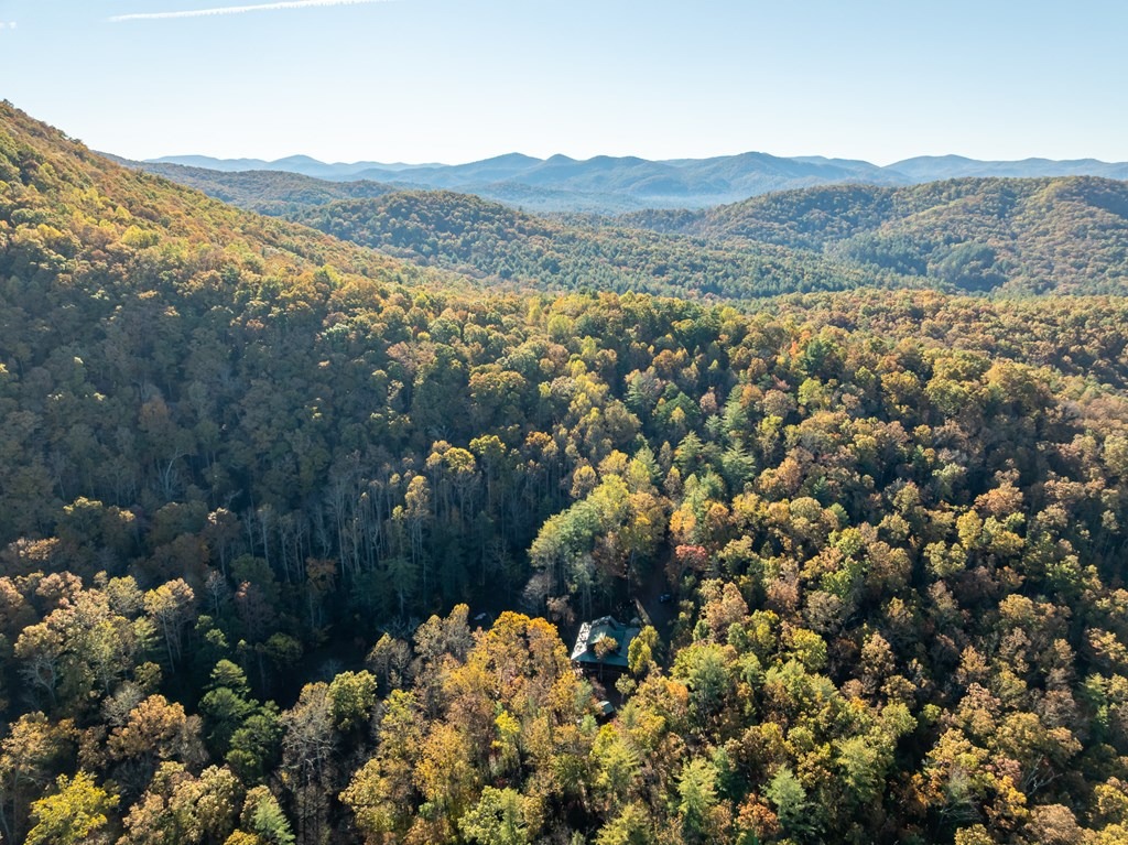 Old Skeenah Gap Rd, Suches, GA 30572 #1