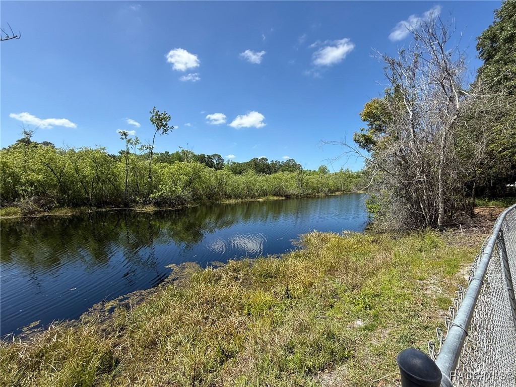 Withlapopka Dr, Floral City, FL 34436 #1