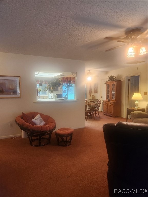Hawthorne St, Crystal River, FL 34428
