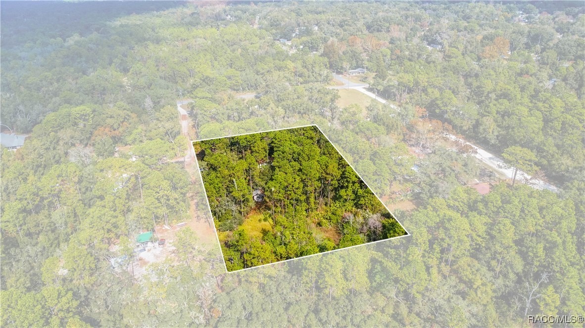 Florene Pt, Crystal River, FL 34429 #1