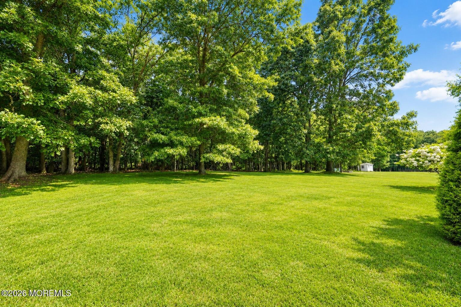 Summerhill Ave, Jackson, NJ 08527 #1
