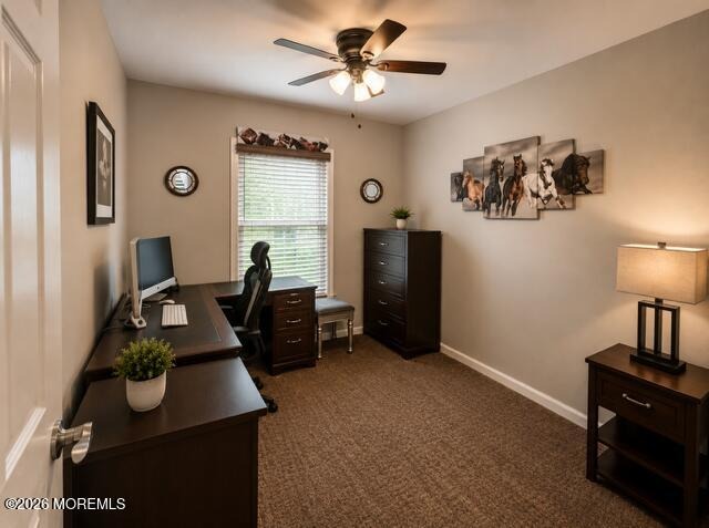 Bristlecone Dr, Howell, NJ 07731