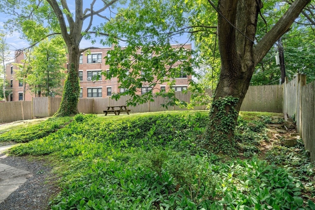 Braemore Rd, Brighton, MA 02135 #1