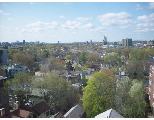 Massachusetts Ave, Cambridge, MA 02139