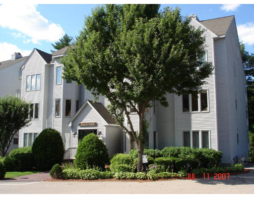 Kim Ter, Stoughton, MA 02072