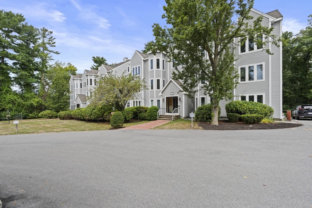 Kim Ter, Stoughton, MA 02072 #1