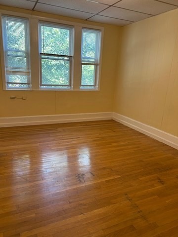 Commonwealth Ave, Brighton, MA 02135 #1