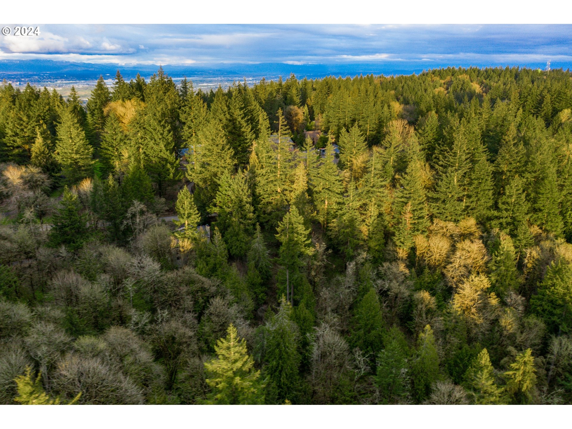 Skyline Blvd, Portland, OR 97231 #1