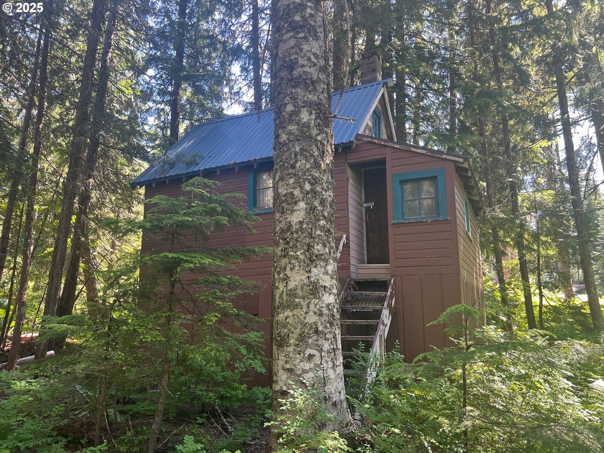 Government Camp Loop, Government Camp, OR 97028 #1