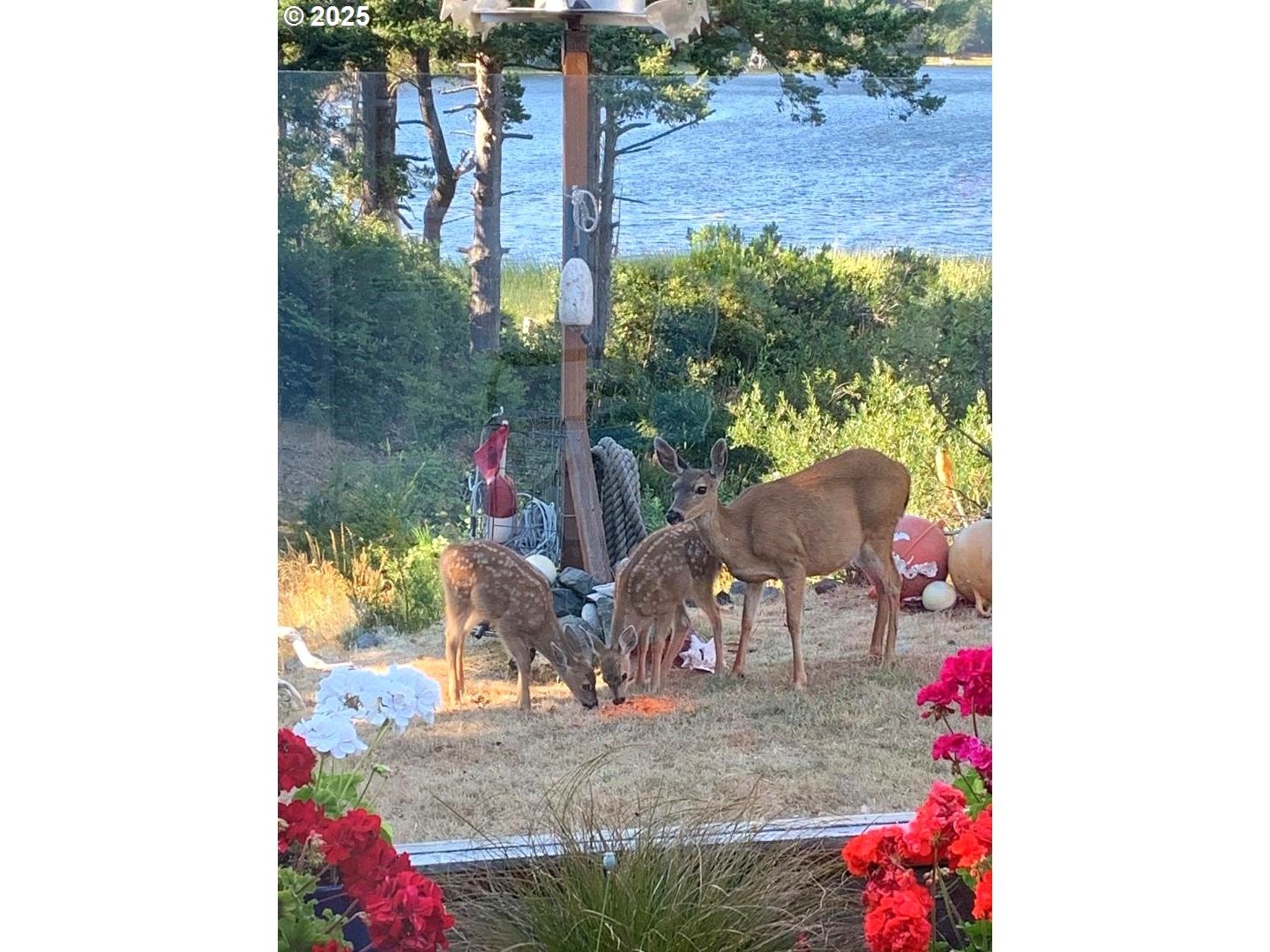 Lakeshore Dr, Port Orford, OR 97465 #1