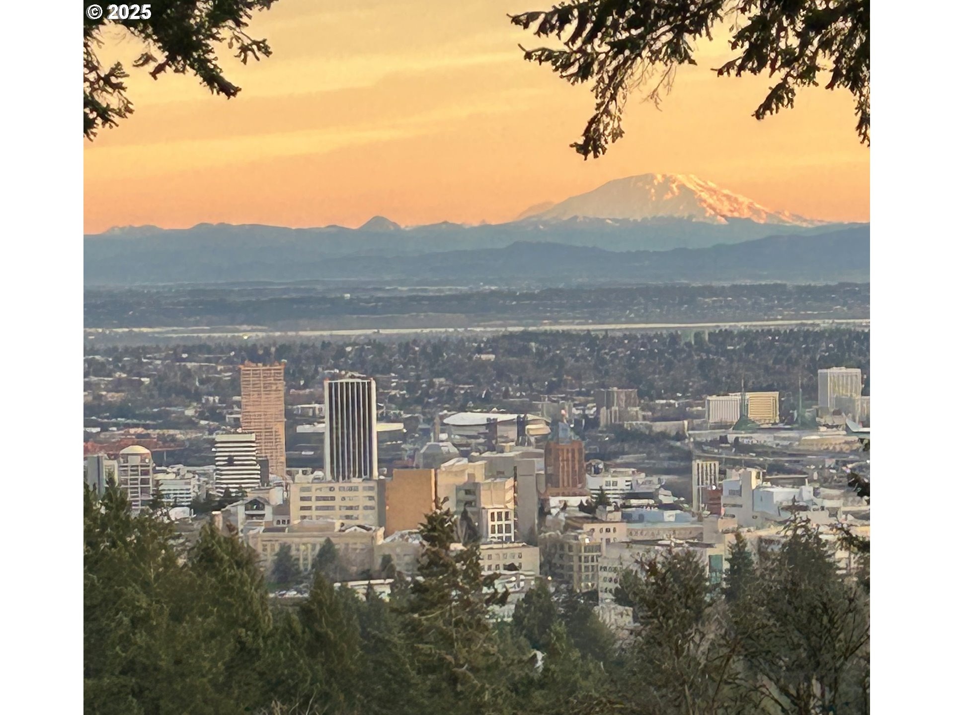 Fairmount Blvd, Portland, OR 97239 #1