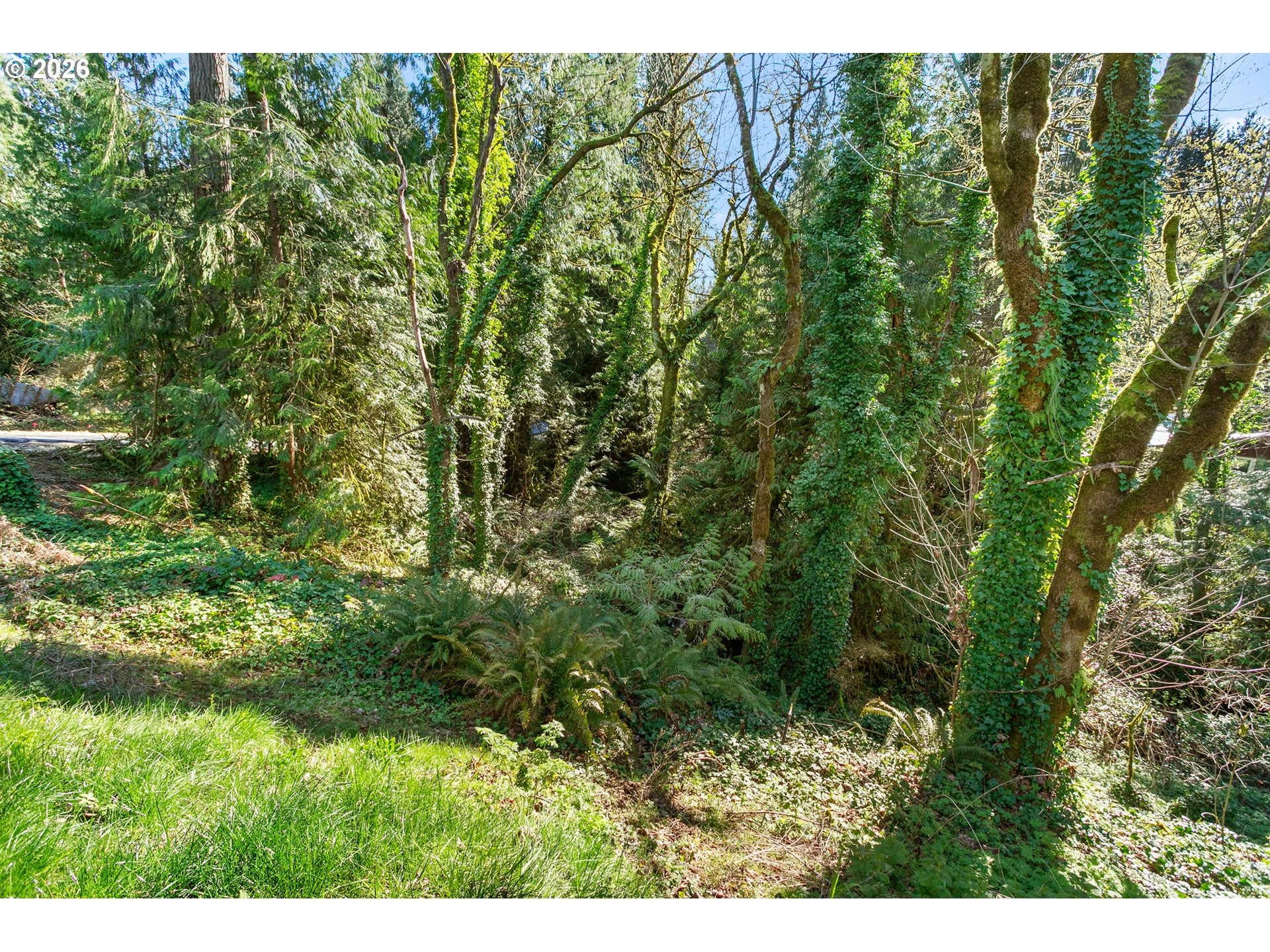 Sumac Ct, Brush Prairie, WA 98606