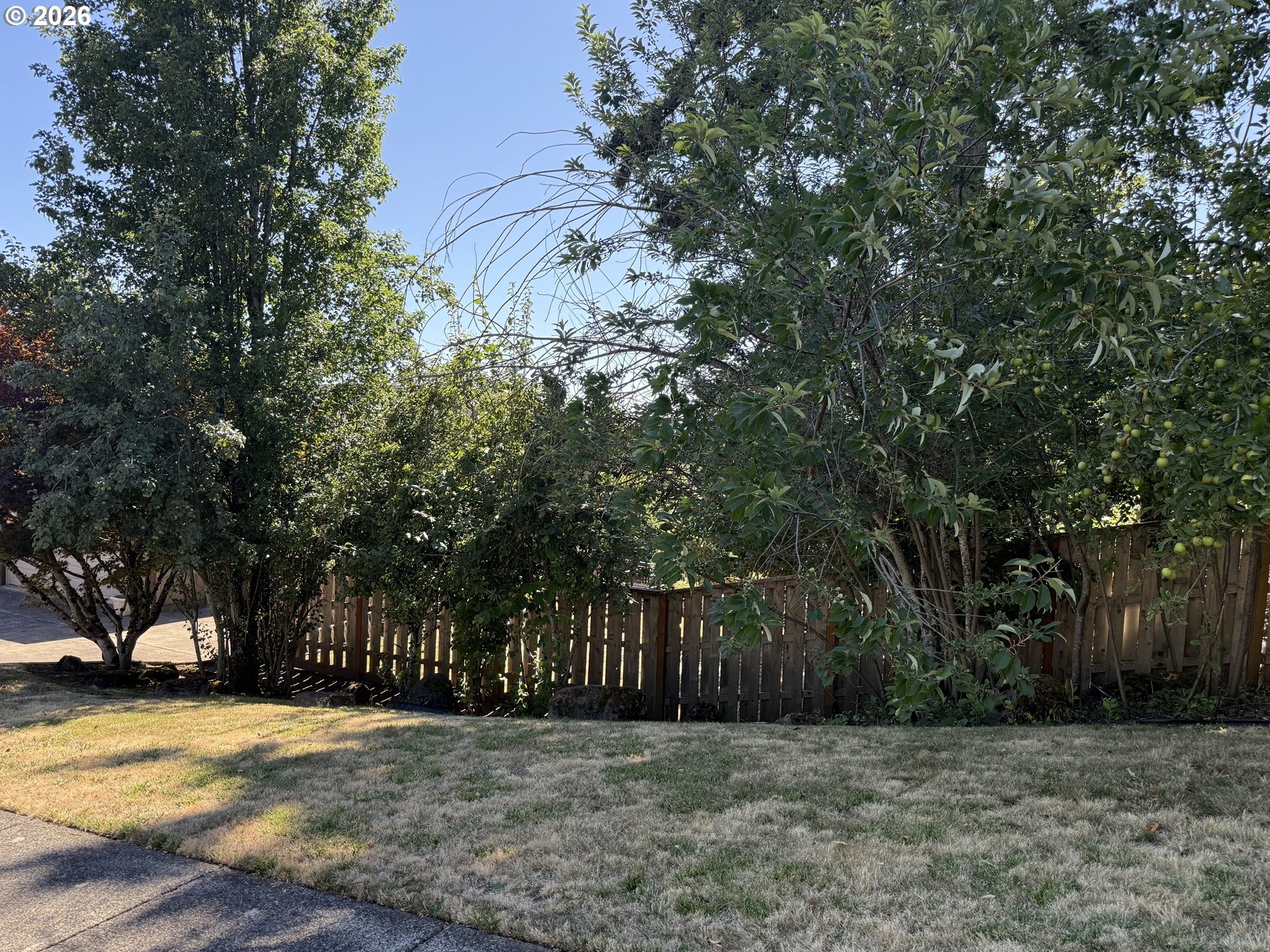 38th Ct, Washougal, WA 98671 #1