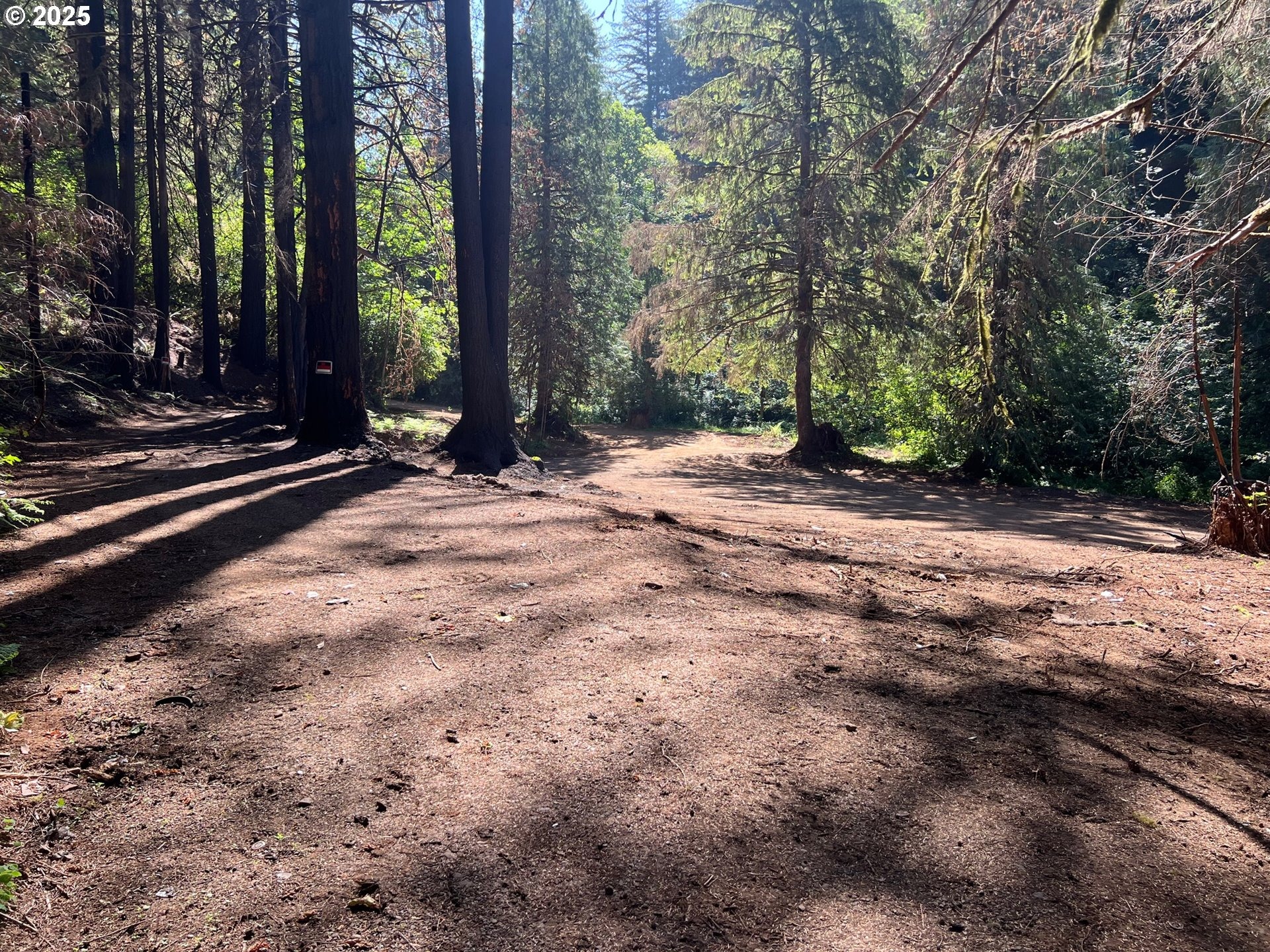 Mannthey Rd, Corbett, OR 97019 #1