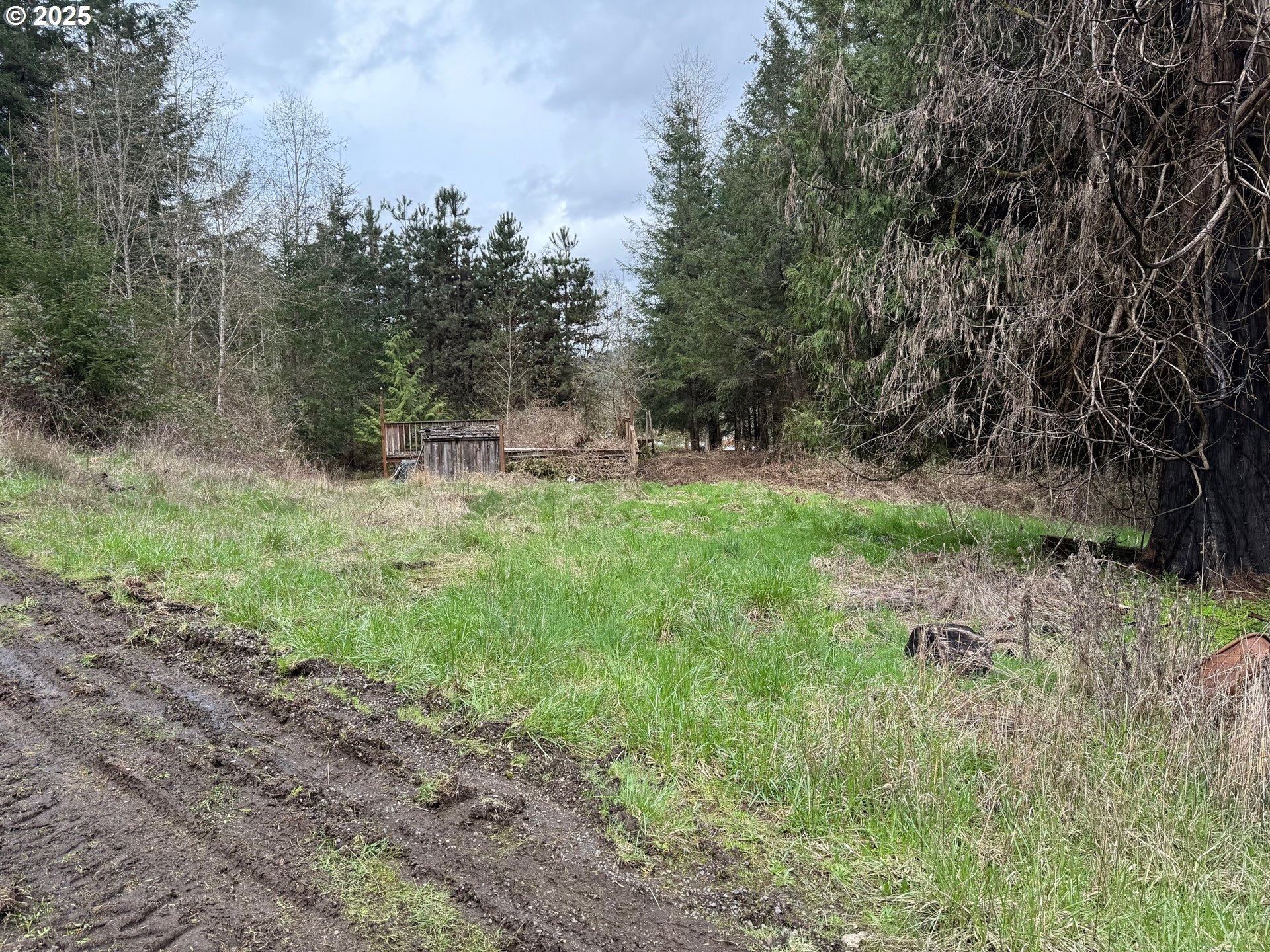Salo Rd, Mulino, OR 97042 #1