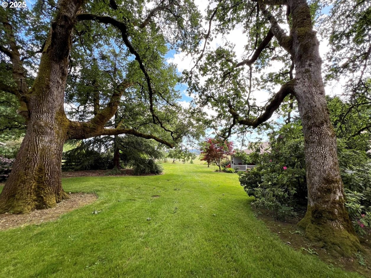 Lucy Reeder Rd, Portland, OR 97231 #1