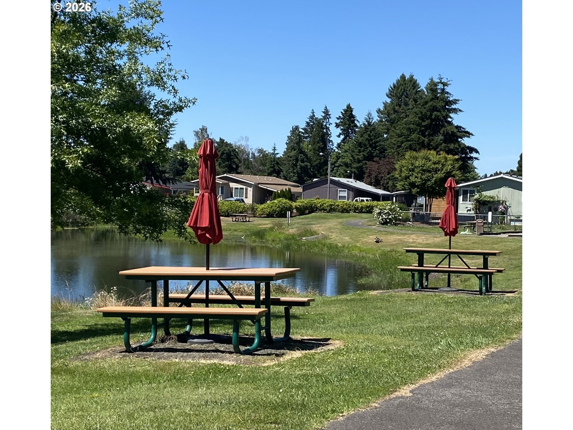 Pitney Ln, Junction City, OR 97448 #1
