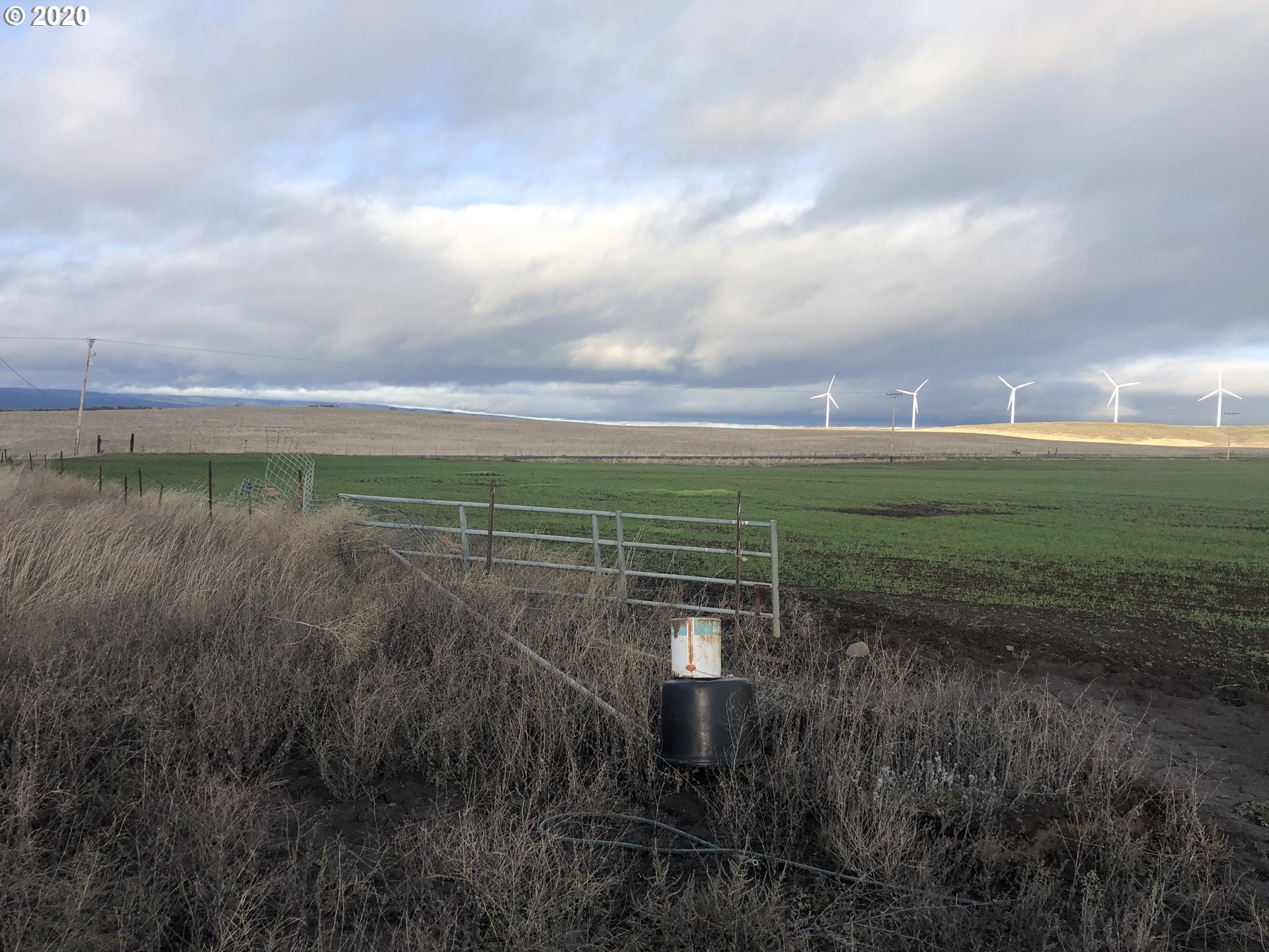 Hoctor Rd, Goldendale, WA 98620 #1