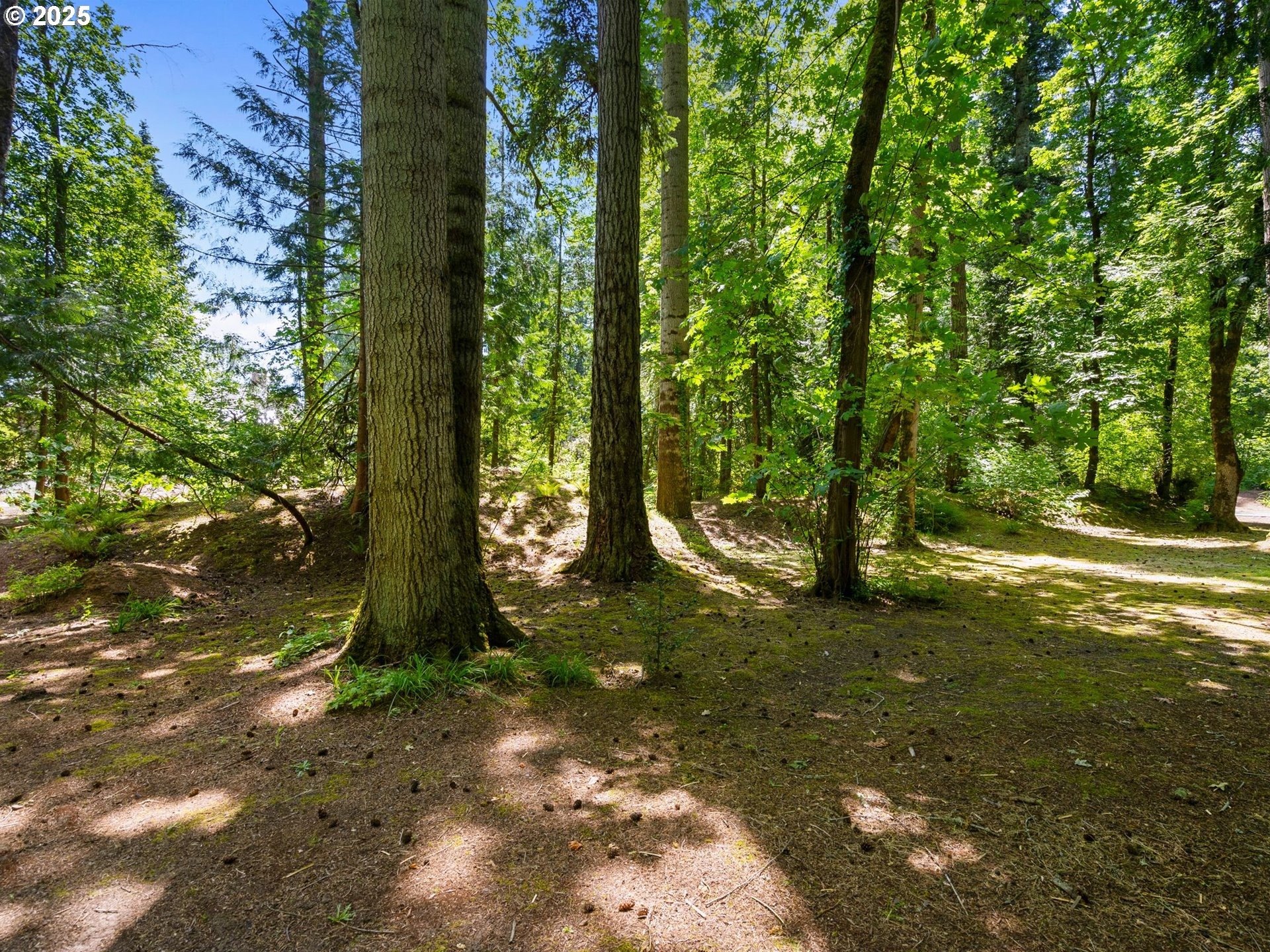 Montgomery Way, Wilsonville, OR 97070 #1