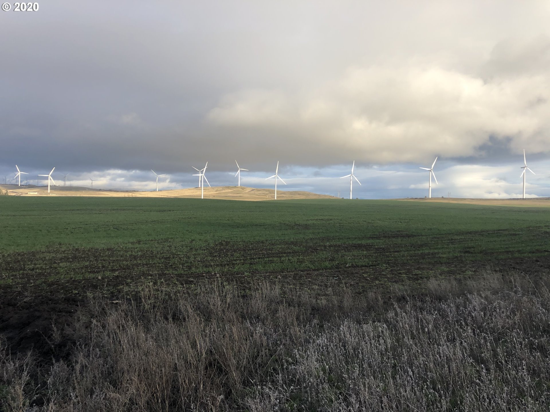 Hoctor Rd, Goldendale, WA 98620