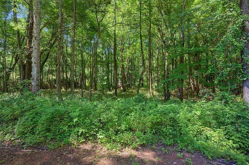 Star Point Rd, Carrollton, GA 30116 #1