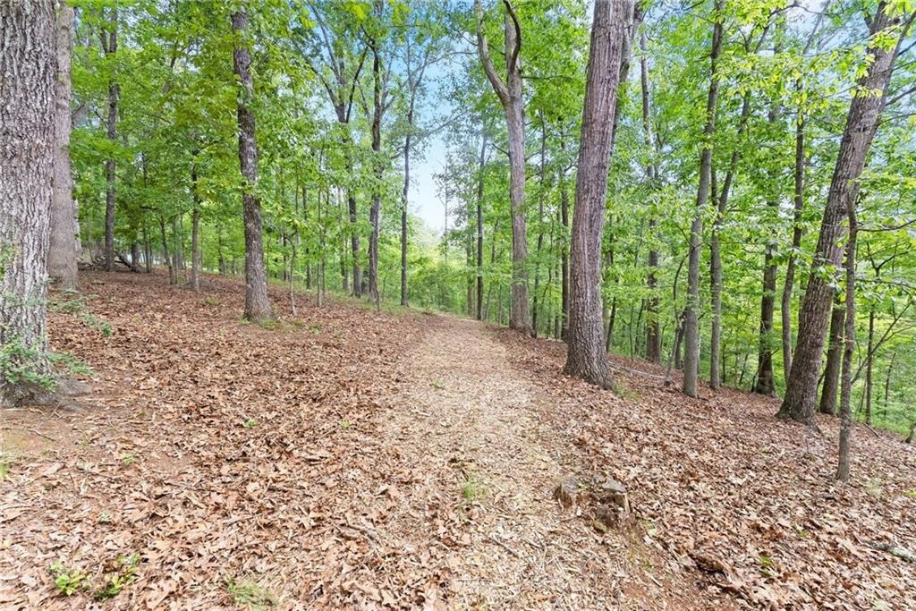 High Shoals Dr, Dahlonega, GA 30533 #1