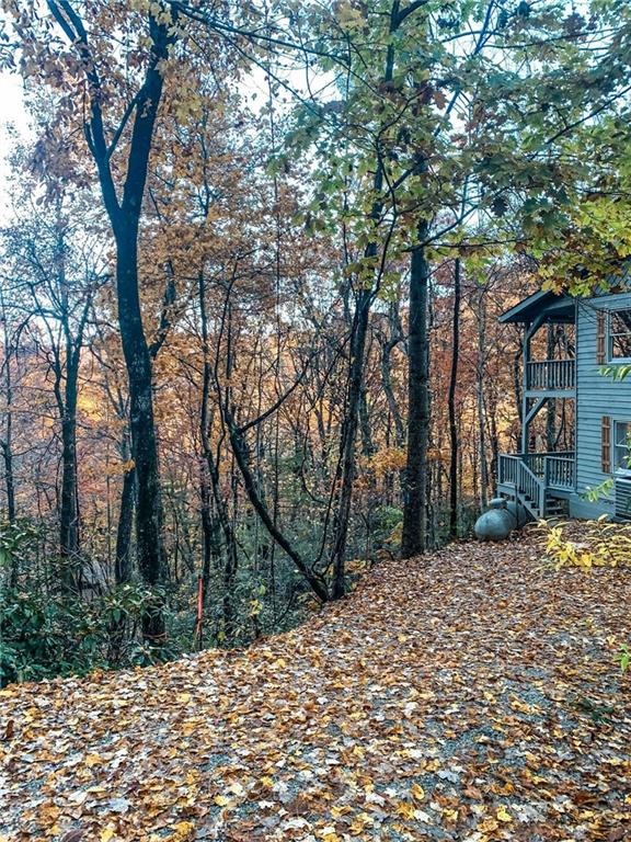 Mint Ln, Clayton, GA 30525 #1