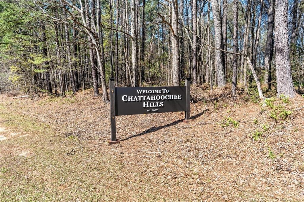 Bear Run Ct, Chattahoochee Hills, GA 30268