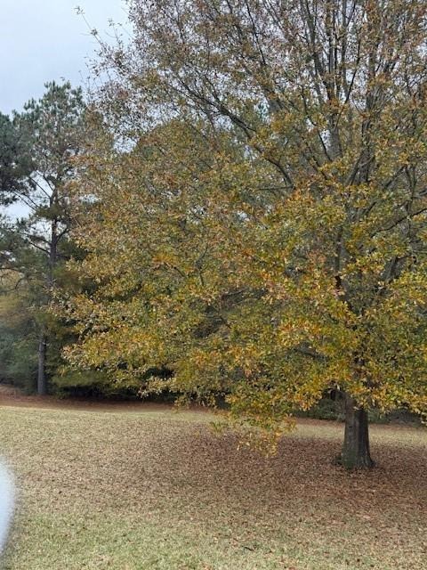 Oakwood Dr, Cedartown, GA 30125
