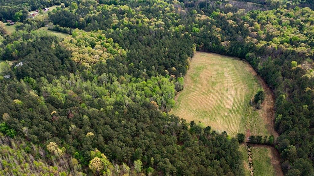 Taylorsville Rd, Aragon, GA 30104 #1