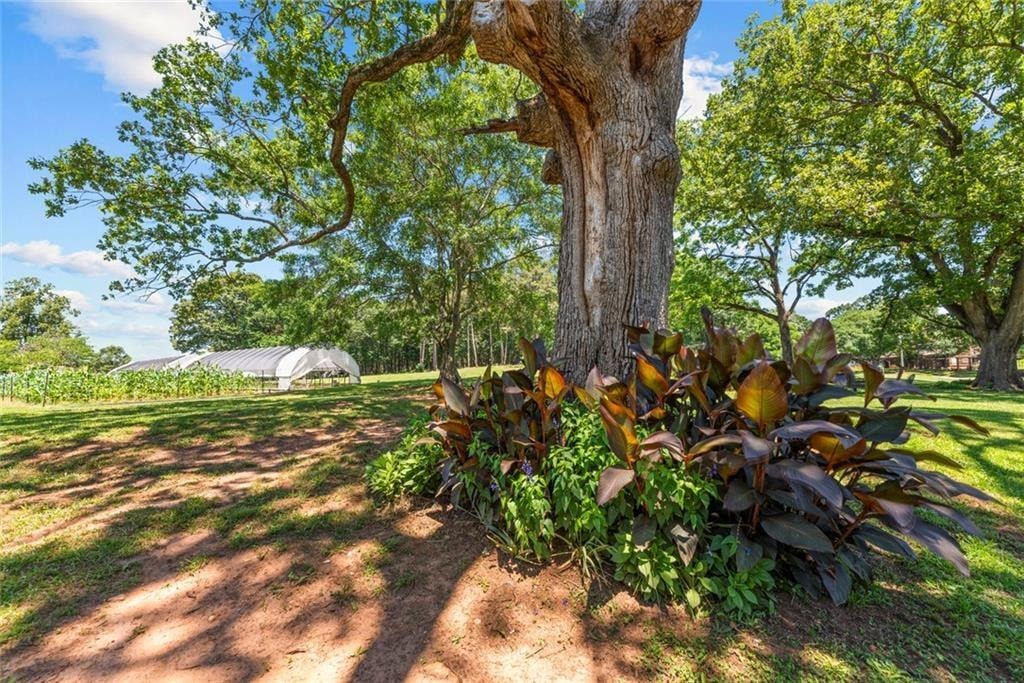 Sims Farm Way, Maysville, GA 30558 #1