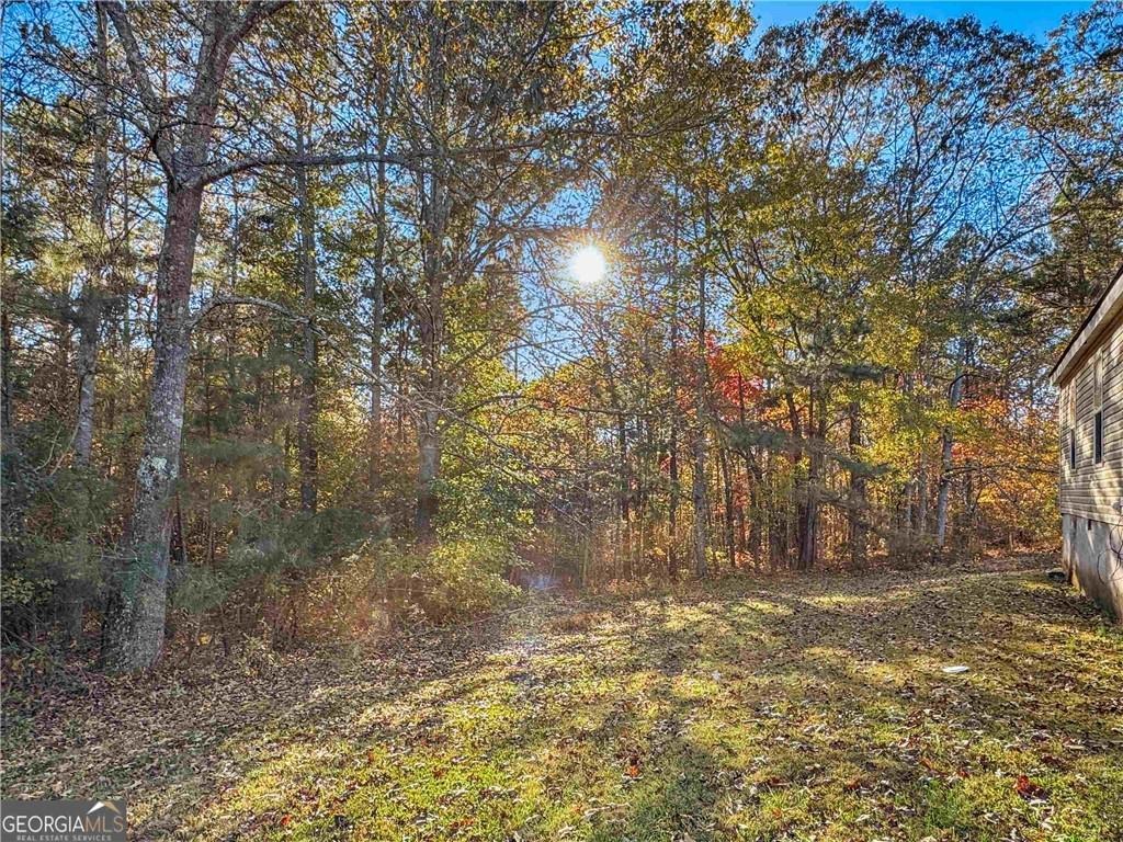 Surrett Rd, Buchanan, GA 30113
