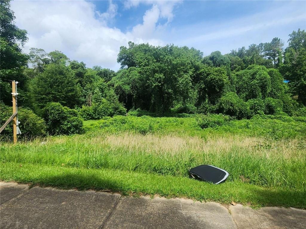 Macon Dr, Atlanta, GA 30315