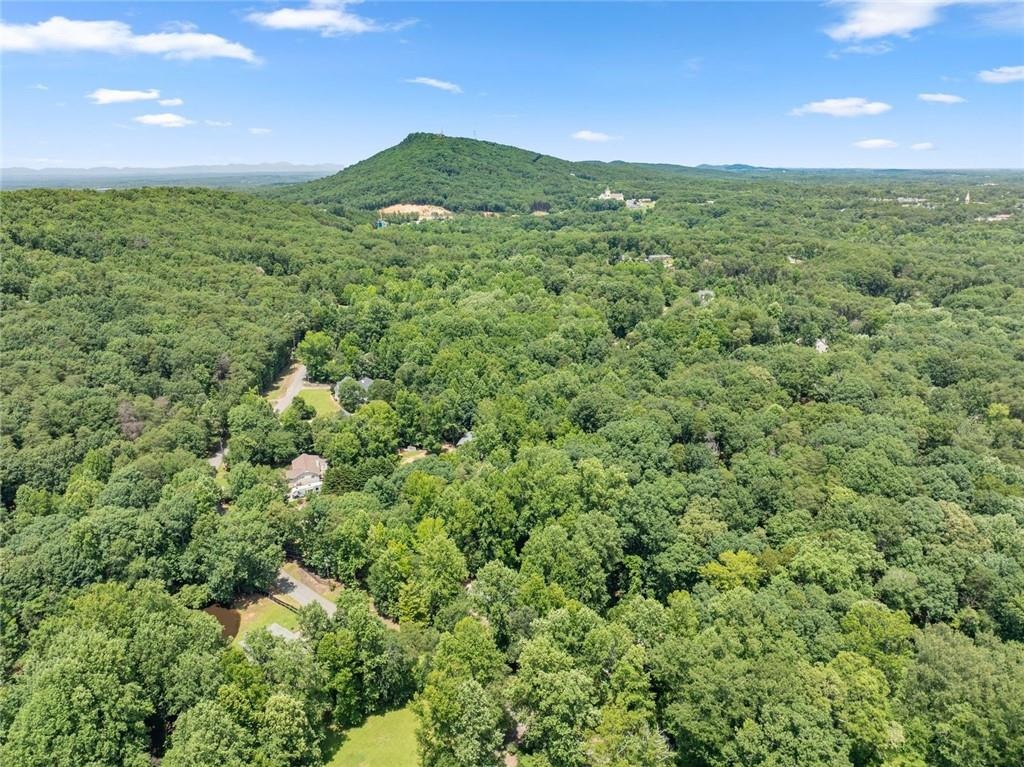 Pine Lake Dr, Cumming, GA 30040 #1