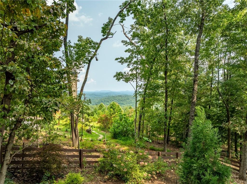 Old Highway 5 , Blue Ridge, GA 30513 #1