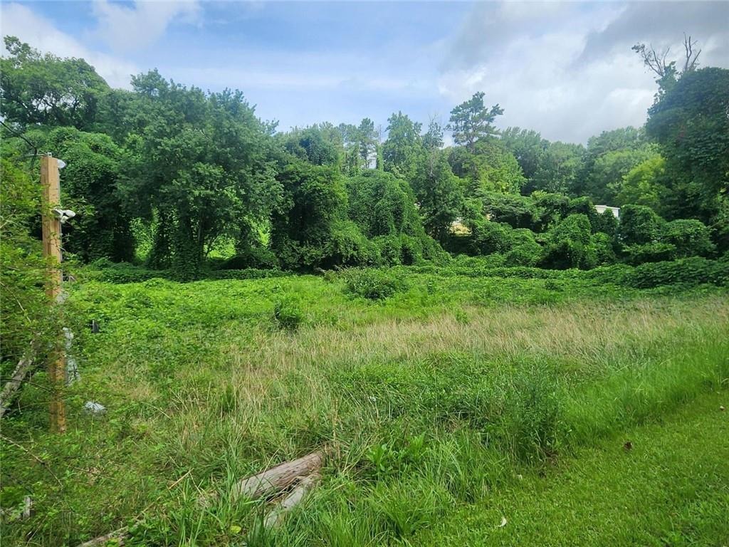 Macon Dr, Atlanta, GA 30315 #1