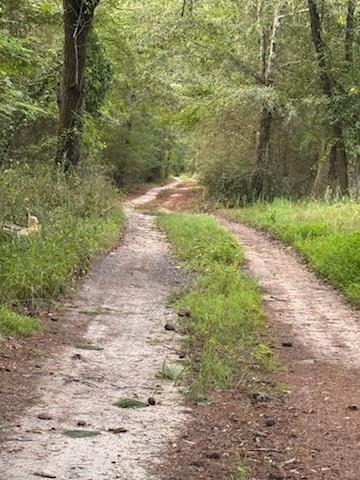 Mcbride Rd, Fayetteville, GA 30215 #1
