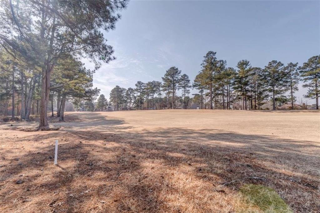Coastal Pointe Dr, Villa Rica, GA 30180 #1