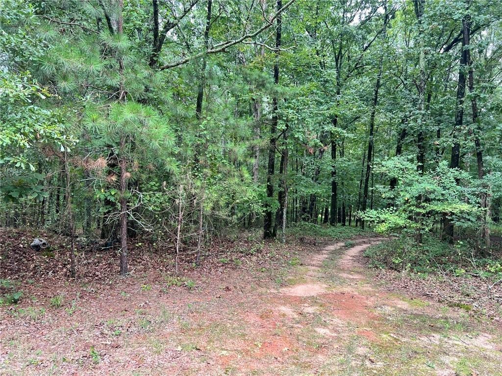Sims Rd, Winder, GA 30680 #1