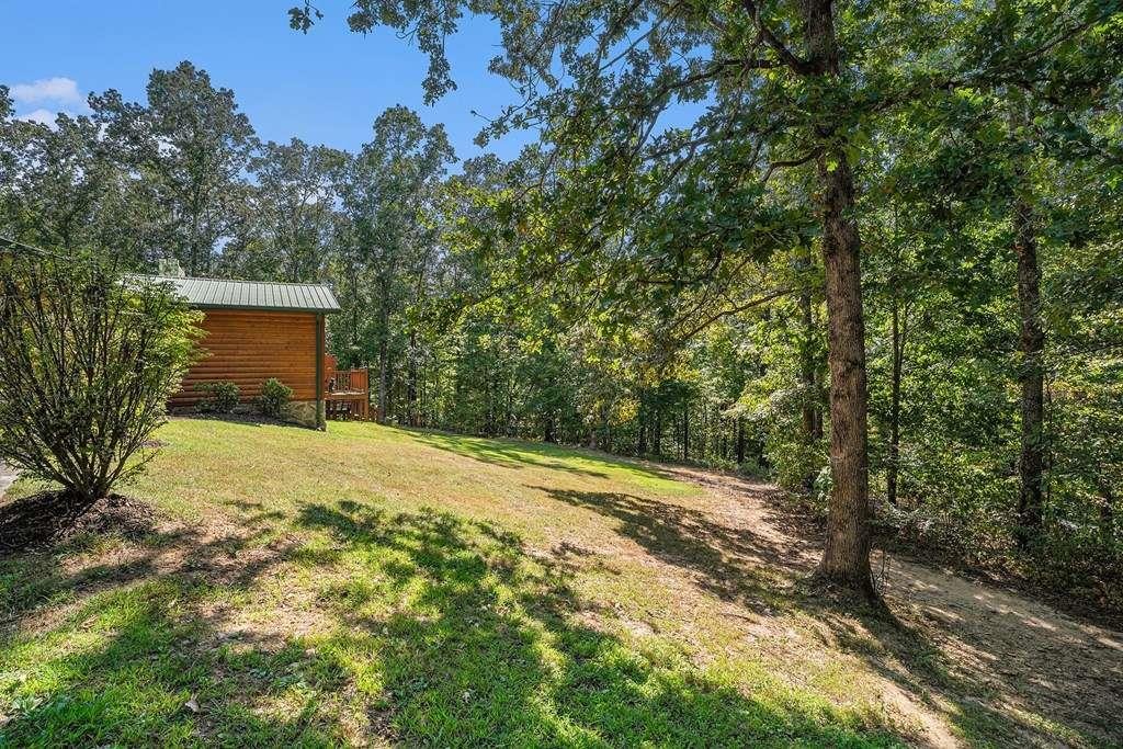 Davis Rd, Blue Ridge, GA 30513 #1